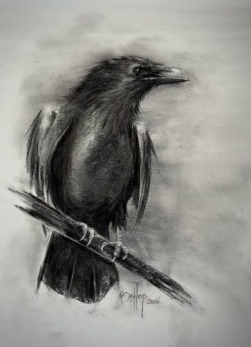 The Watcher